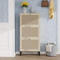 Gdfstudio Natural Rattan Modern Shoe Storage Cabinet With 3 Doors