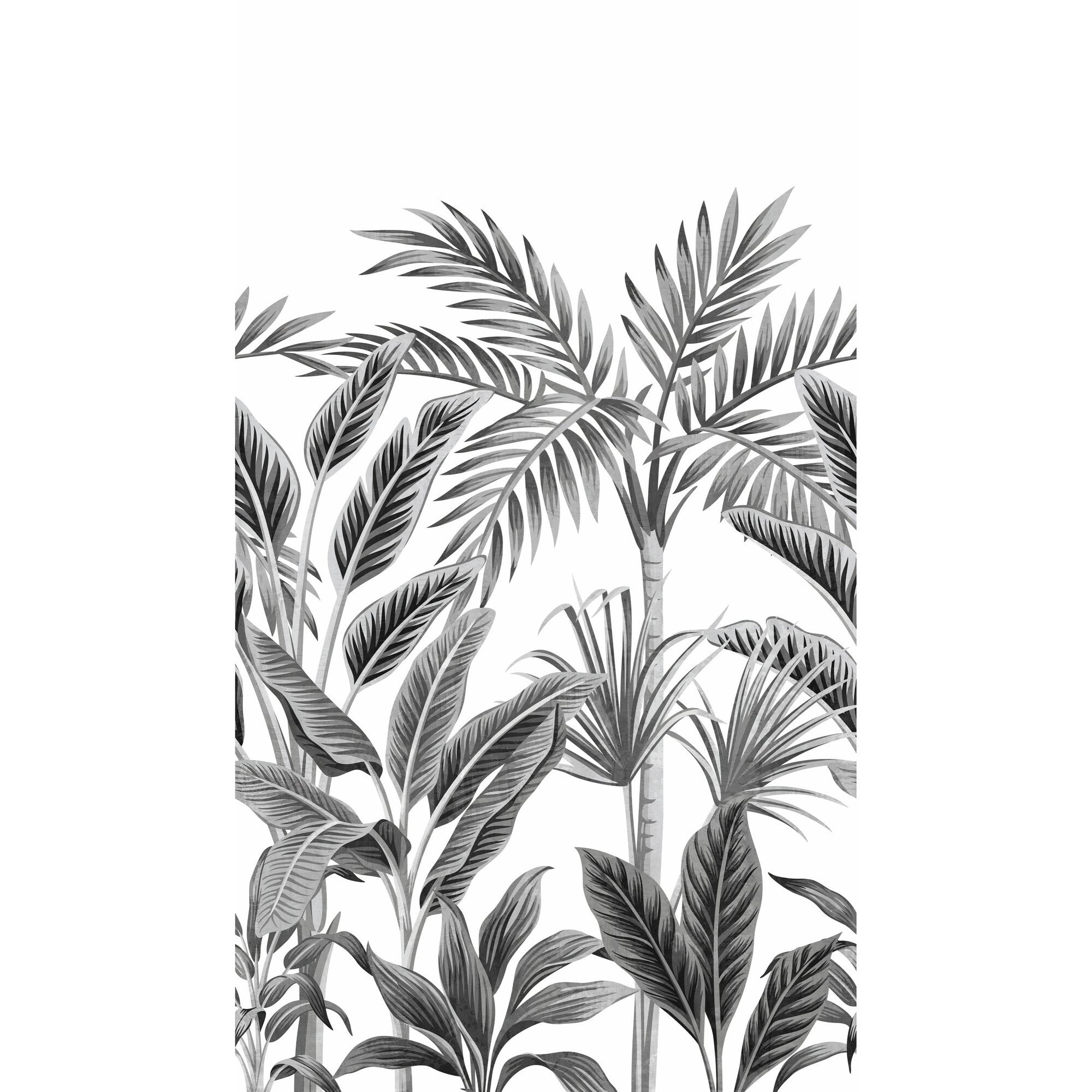 Galerie Wallcoverings Orom Ii Collection Palm Leaf 62.5 Inches Wide X 9.18 Feet High 3 Panel Wall Mural