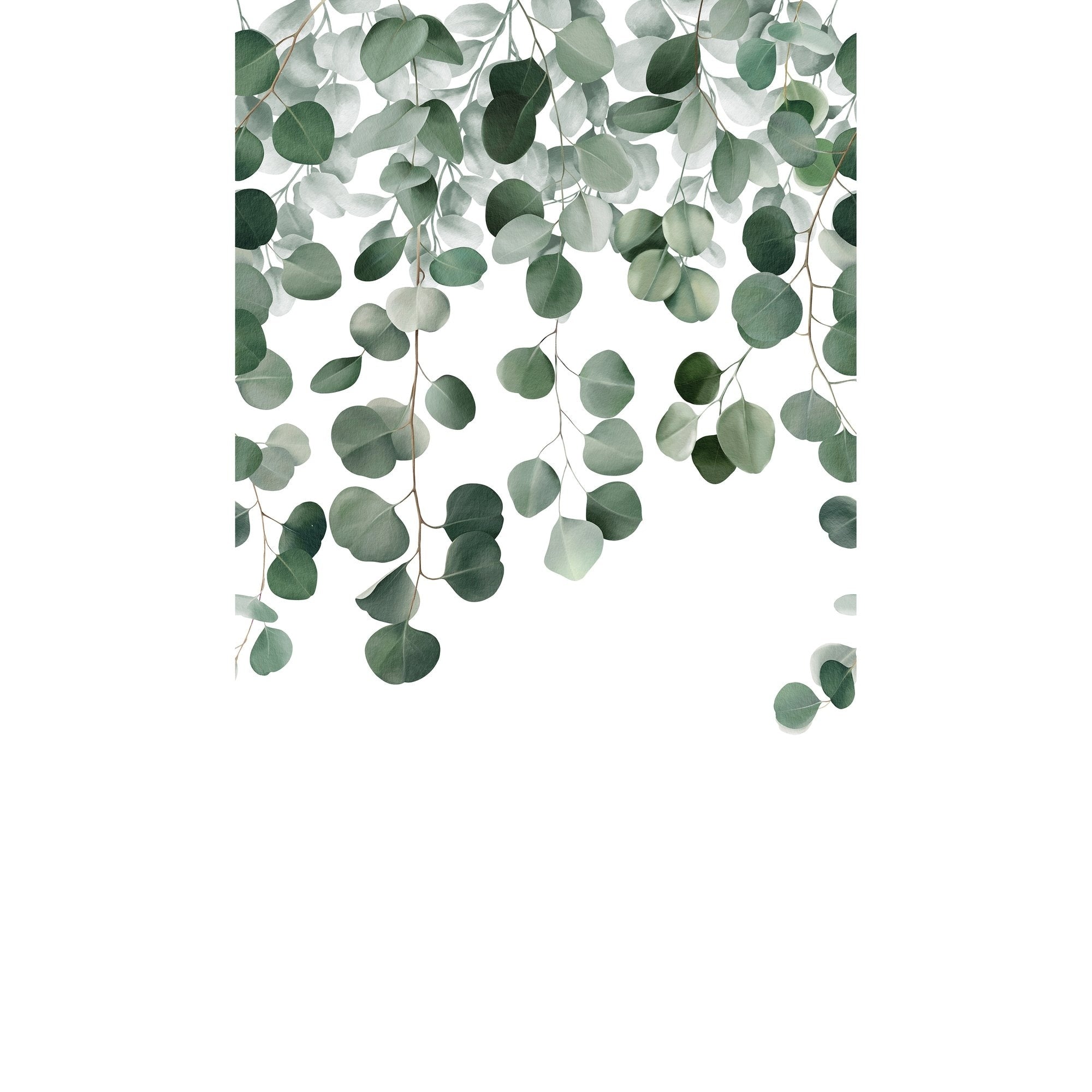 Galerie Wallcoverings Orom Ii Collection Raining Eucalyptus Leaf 62.5 Inches Wide X 9.18 Feet High 3 Panel Wall Mural