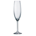 Gastro Fluted Champagne Glass 220Ml Set Of 6