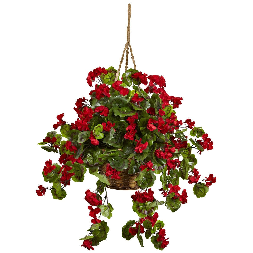 Geranium Hanging Basket
