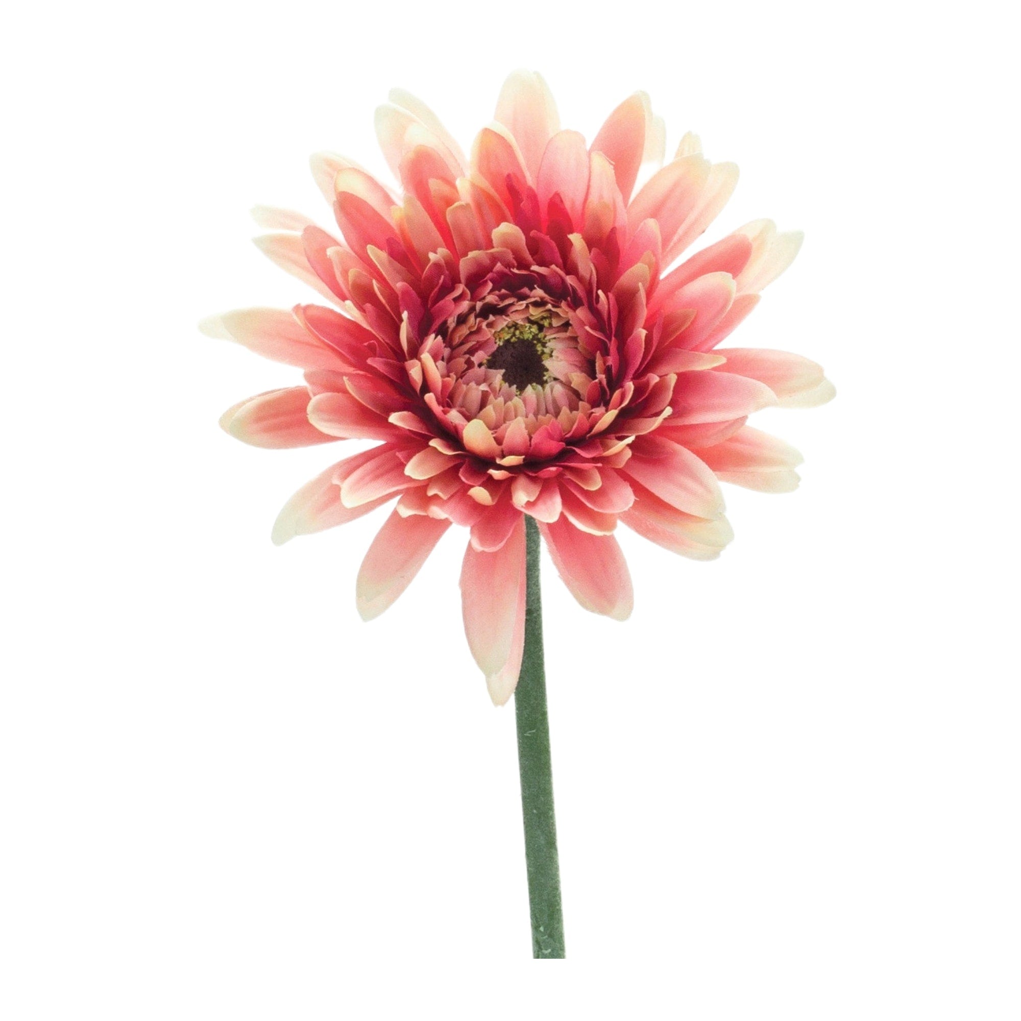 Gerbera Daisy Floral Stem Set Of 6