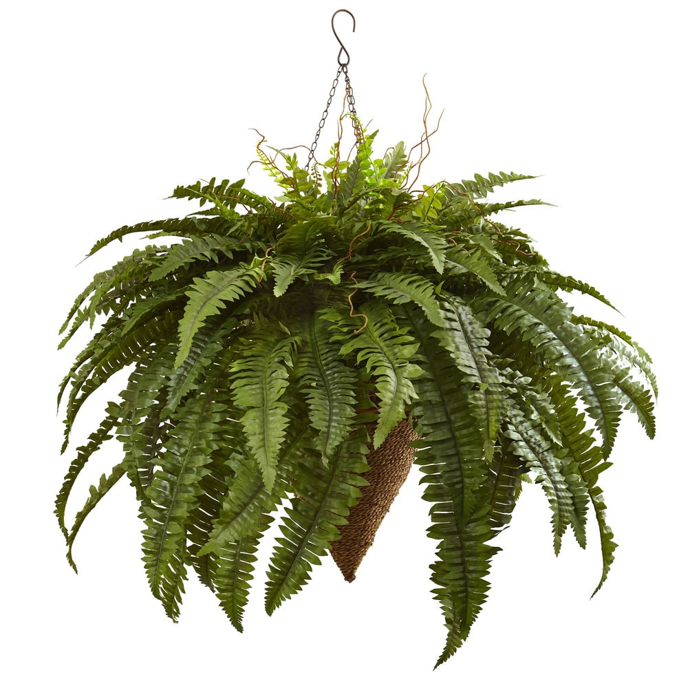 Nearly Natural Giant Boston Fern Hanging Basket