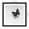 Giant Emperor Butterfly By Odile Kidd Wood Framed Wall Art Print Downton Black