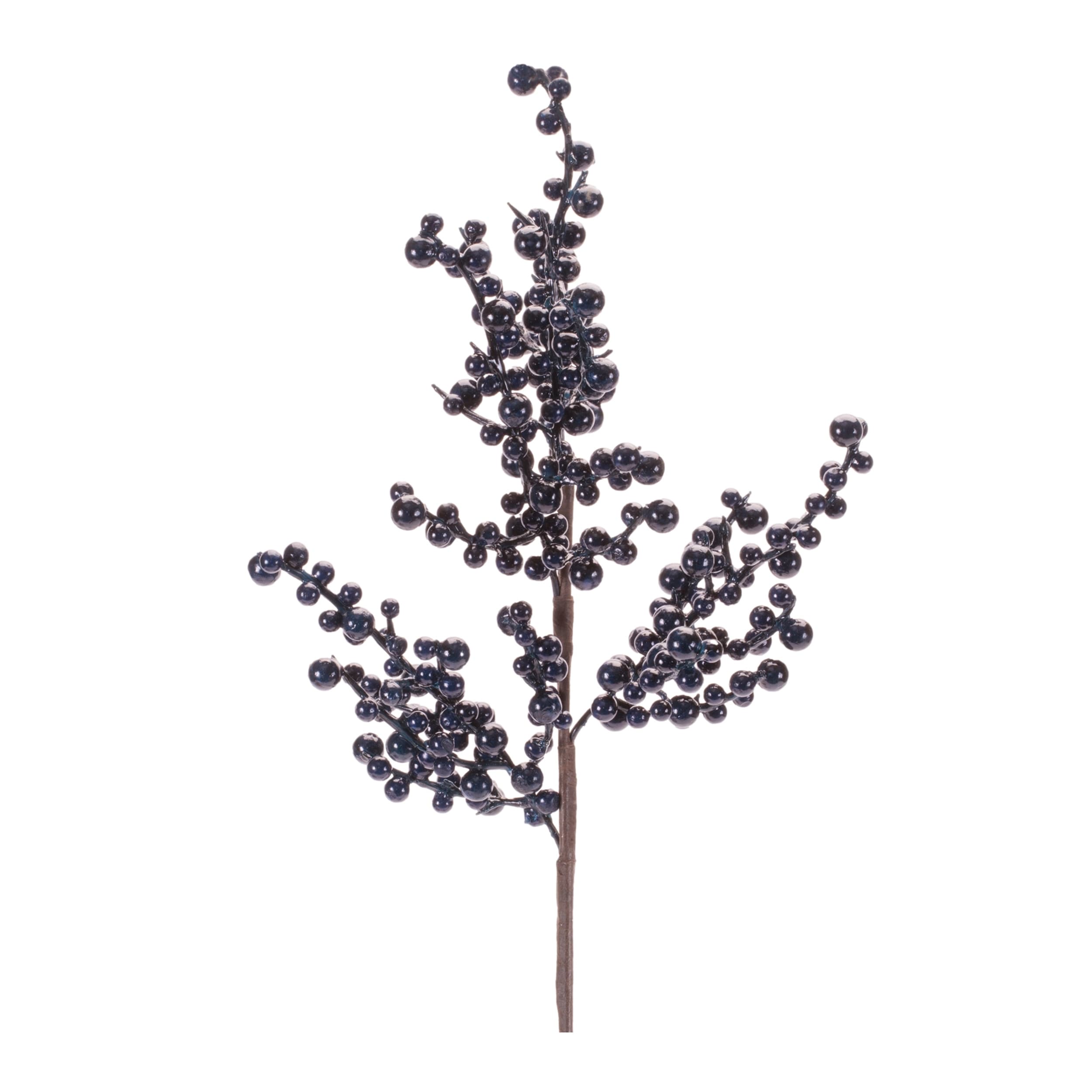 Glossy Berry Spray Set Of 2