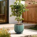 Glossy Gradient Teal Ceramic Planter Round Pot With Connected Tray