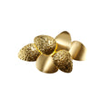 Gold Stainless Steel Petal Led Wall Sconce