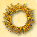 Golden Forsythia Wreath 28