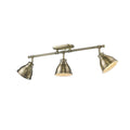 Golden Lighting Duncan 3 Light Semi Flush Aged Brass Steel Track Light With Aged Brass Shades
