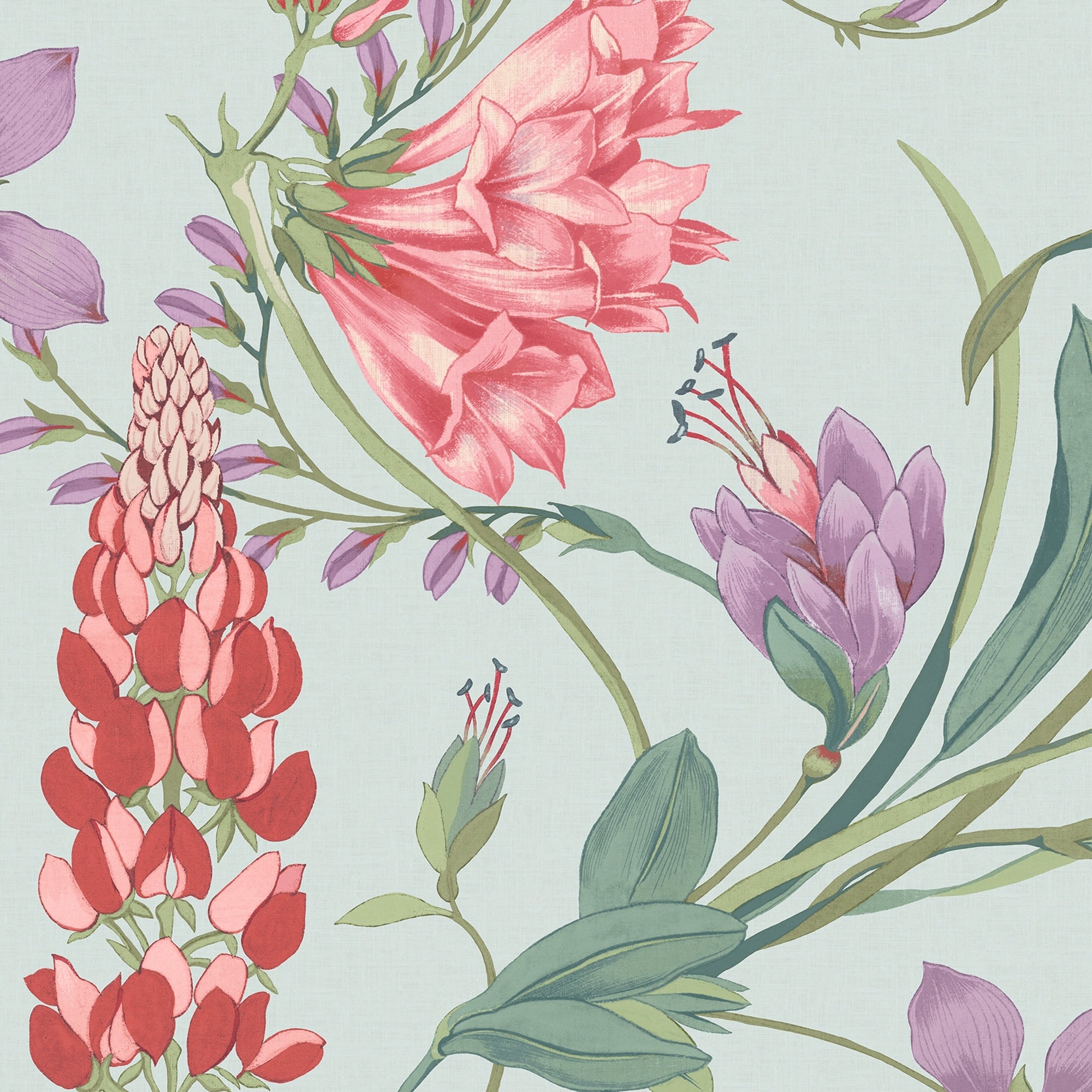 Graham Brown Botanists Scroll Duck Egg Wallpaper