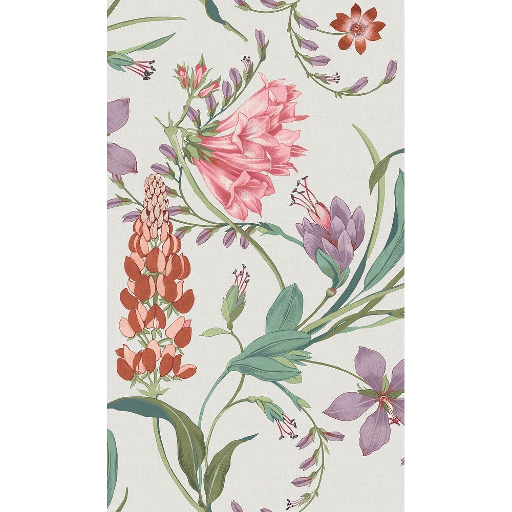 Graham Brown Botanists Scroll Pink Wallpaper