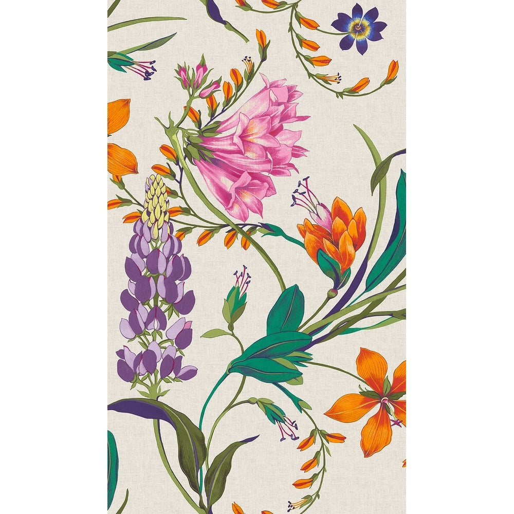 Graham Brown Botanists Scroll Vivant Wallpaper