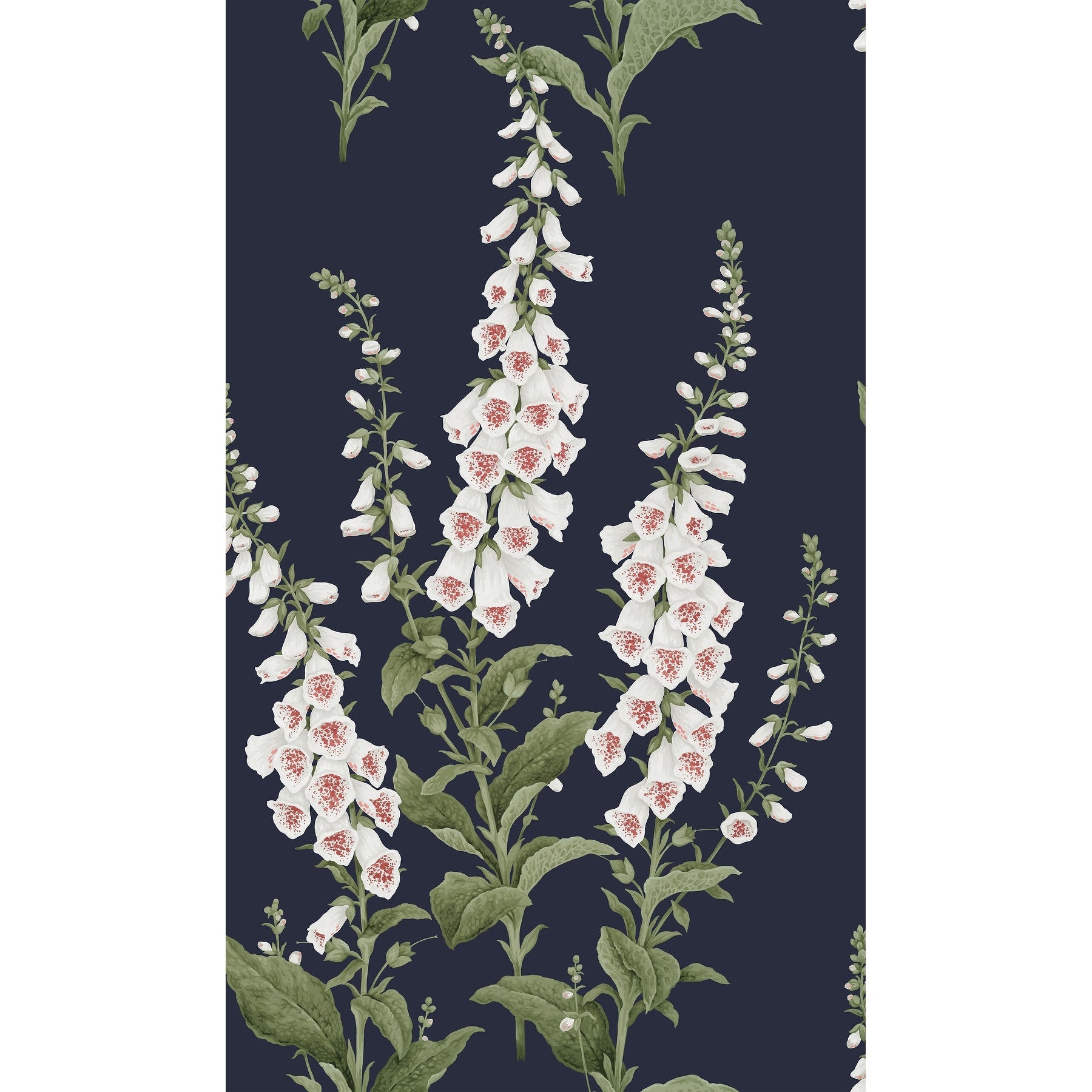Graham Brown Foxglove Midnight Wallpaper
