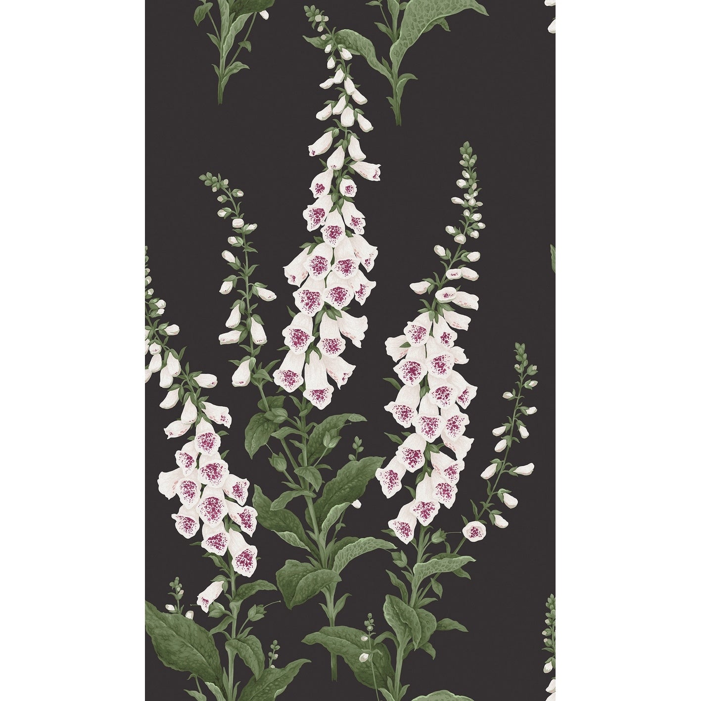 Graham Brown Foxglove Night Wallpaper