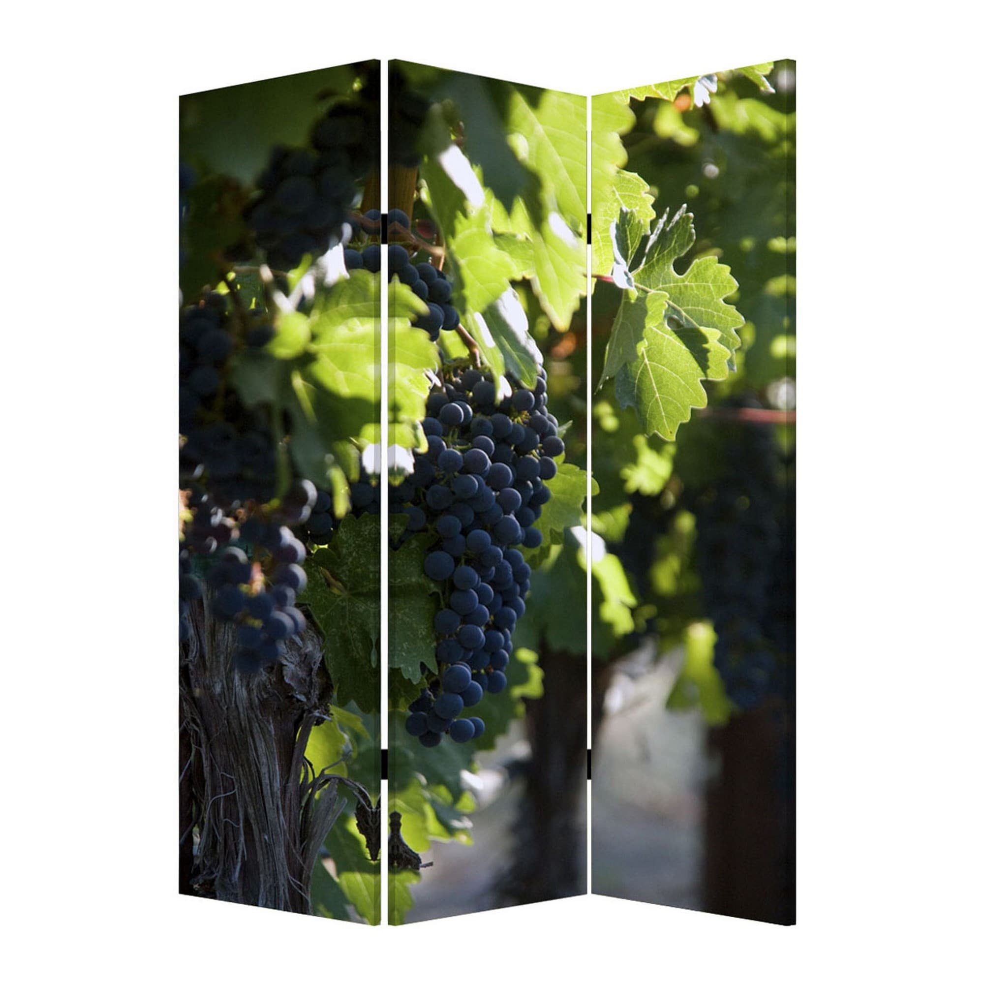 Grape Vine Print Foldable Canvas Screen With 3 Panels Multicolor