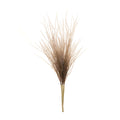 Grass Plume Bundle Set Of 2