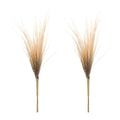 Grass Plume Bundle Set Of 2
