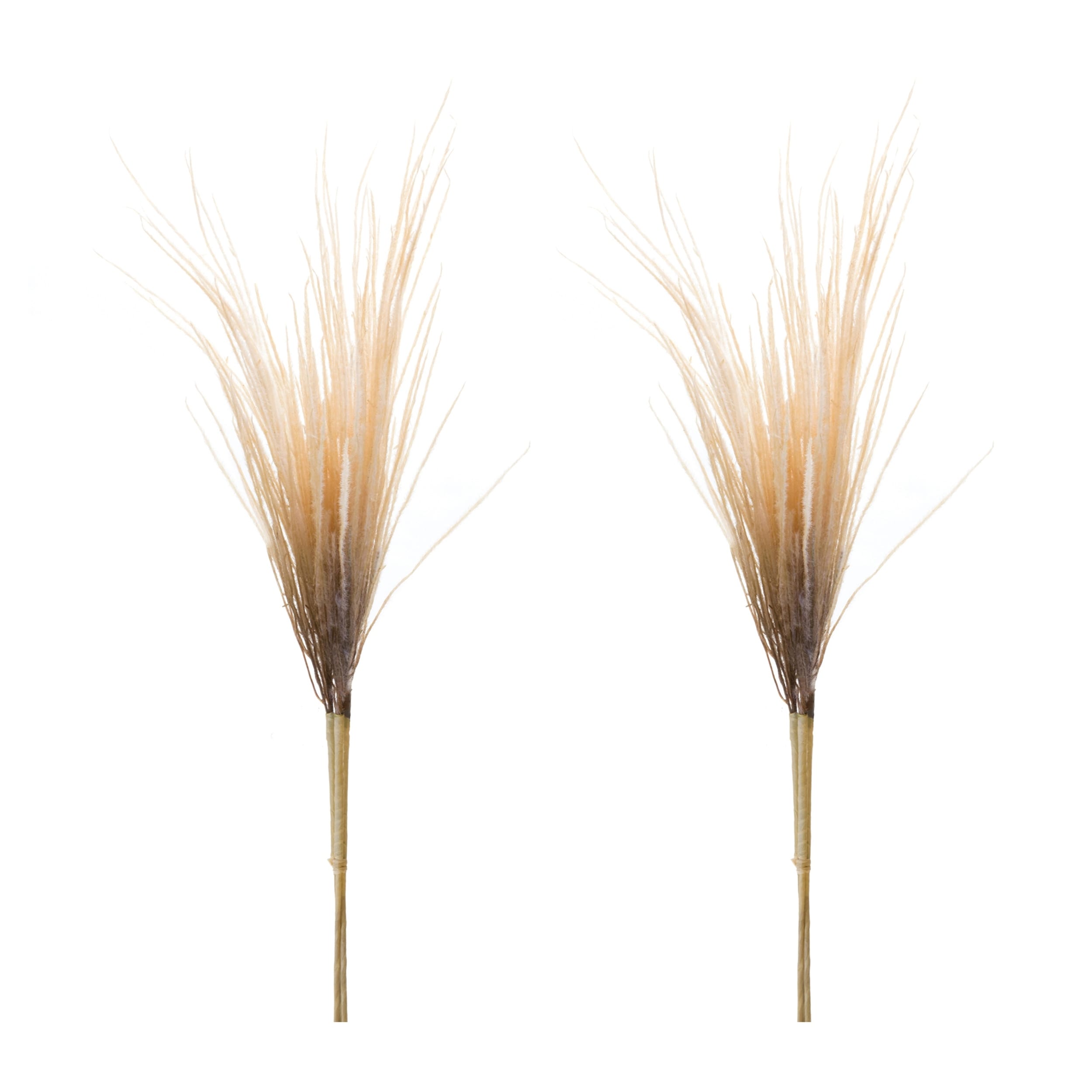 Grass Plume Bundle Set Of 2