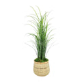 Grass In Bamboo Planter 38