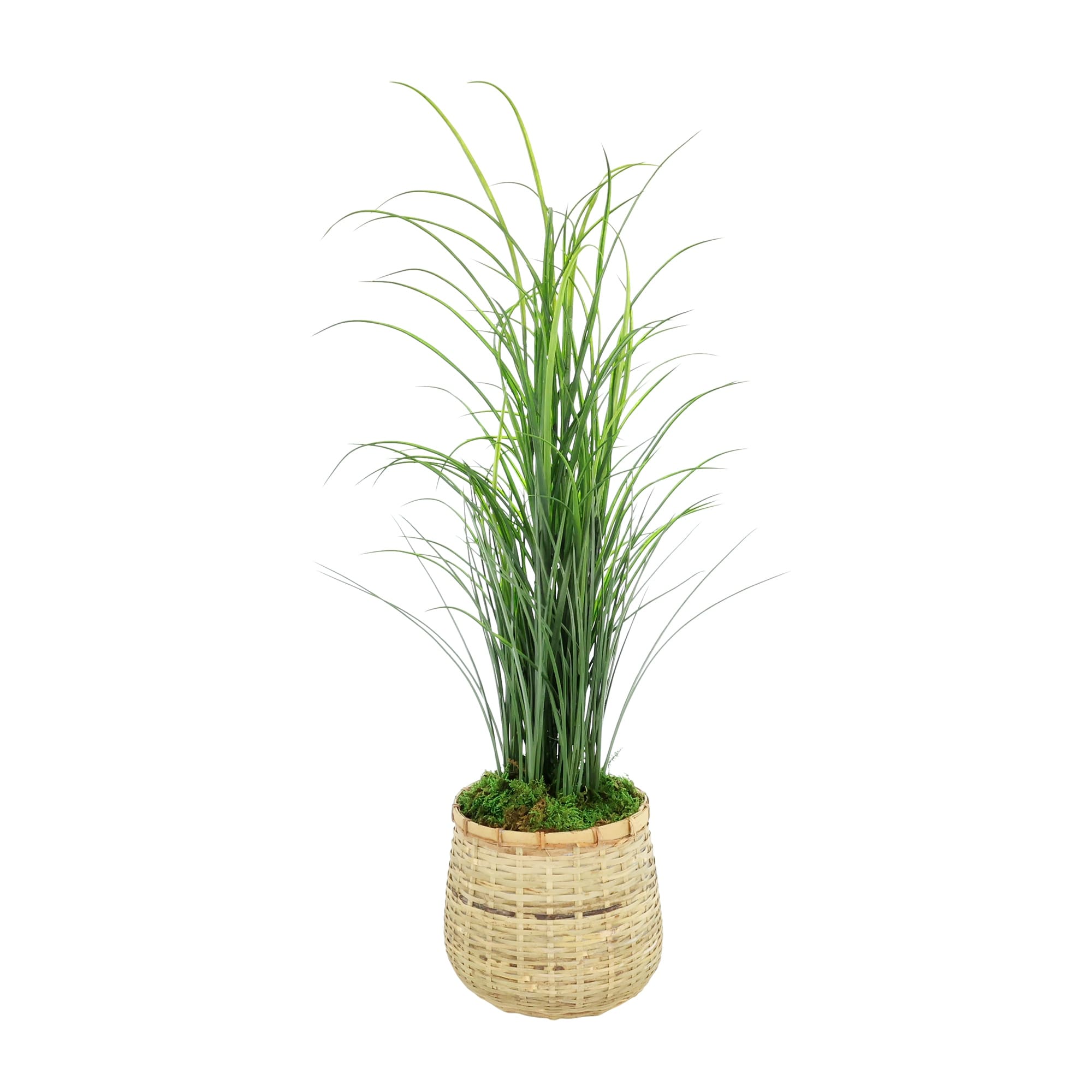 Grass In Bamboo Planter 38