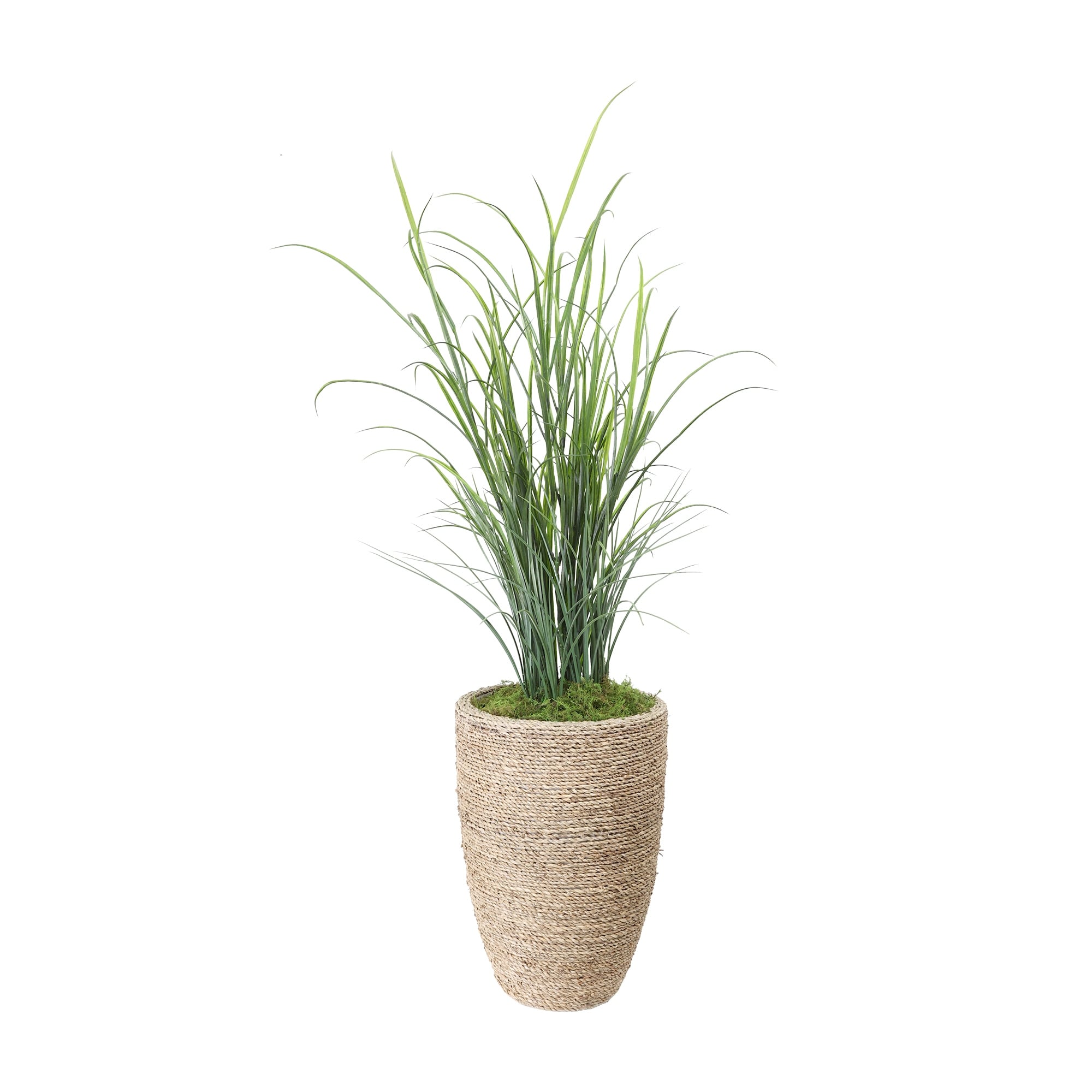 Grass In Strawgrass Planter 45