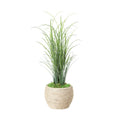 Grass In Strawgrass Planter 39
