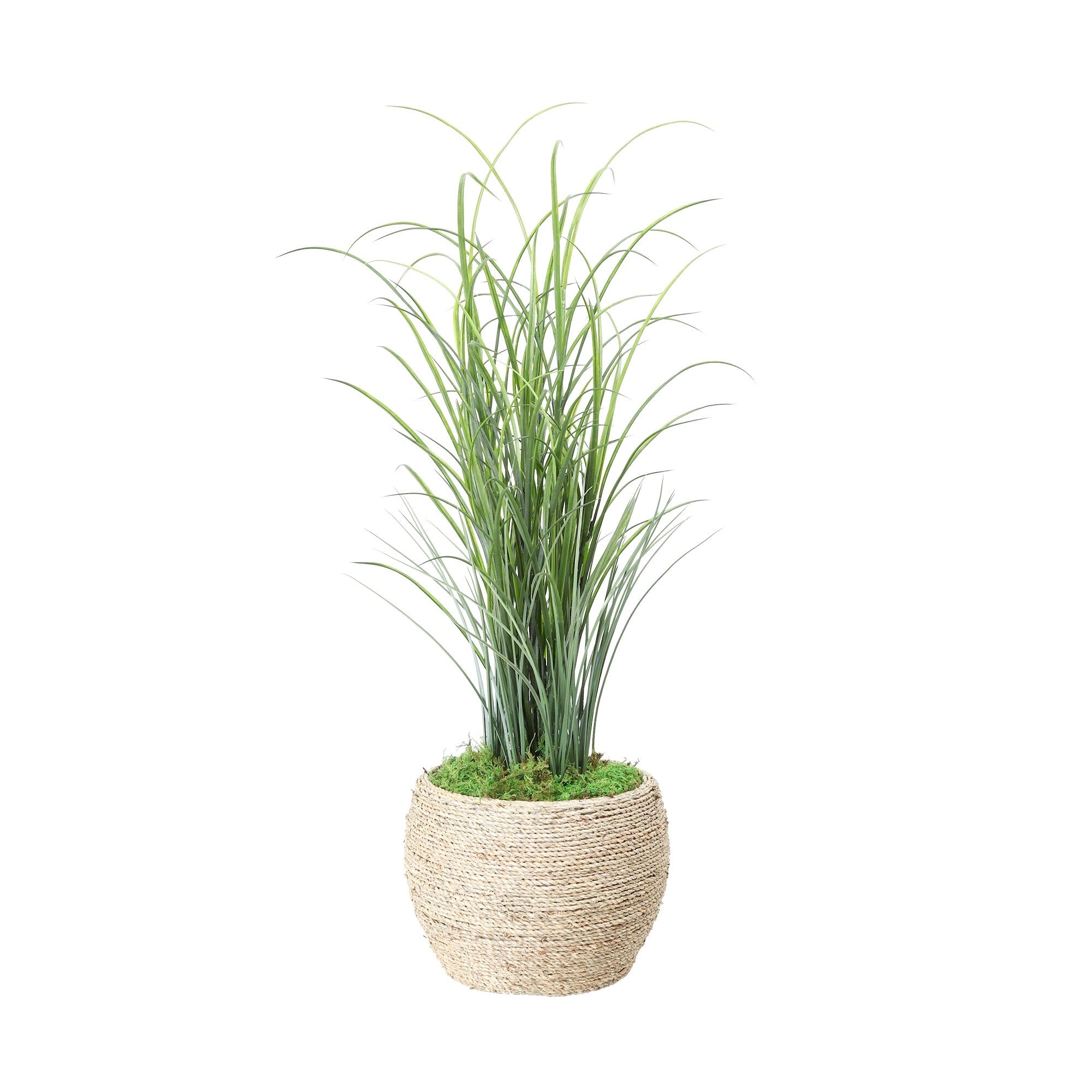 Grass In Strawgrass Planter 39