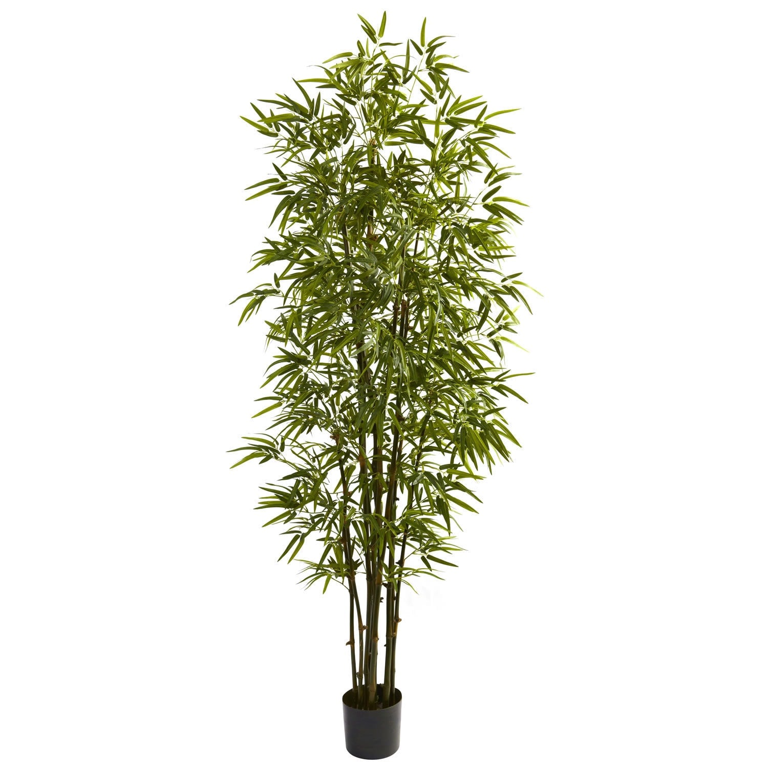 Green Bamboo 7 Inch Tree