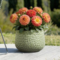 Green Leaf Embossed Mgo Planter 15.94 Textured Pot For Outdoor Indoor 11.89 H X 15.94 Diameter