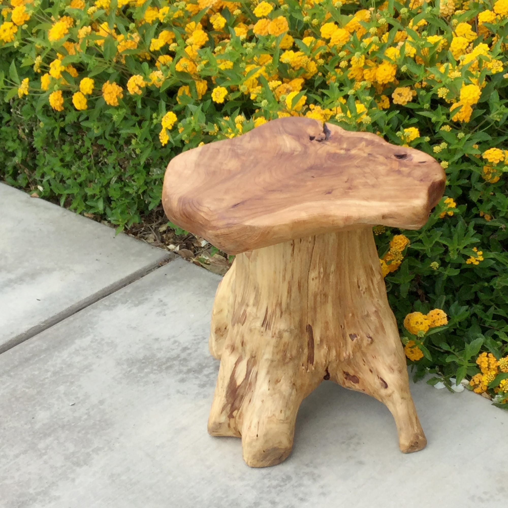 Greenage Cedar Roots Naturally Shaped Mushroom Stool Side Table Stand 12.5 X 15 X 13.5 In Height