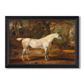 Grey Arabian Stallion Property Of Sir Watkin Williams Wynn C 1817 James Ward Custom Framed Canvas