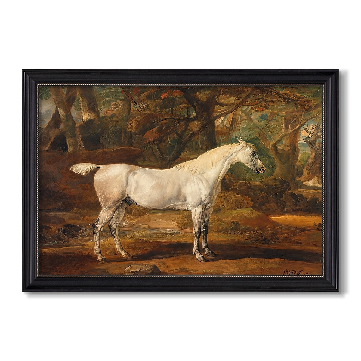 Grey Arabian Stallion Property Of Sir Watkin Williams Wynn C 1817 James Ward Custom Framed Canvas