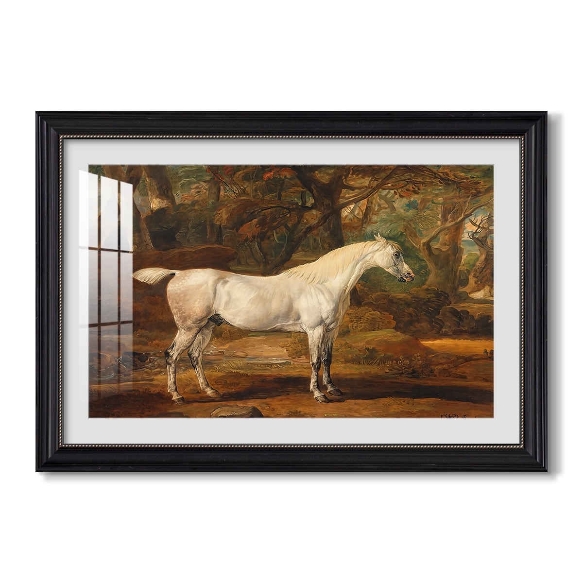 Grey Arabian Stallion Property Of C 1817 James Ward Custom Framed Print
