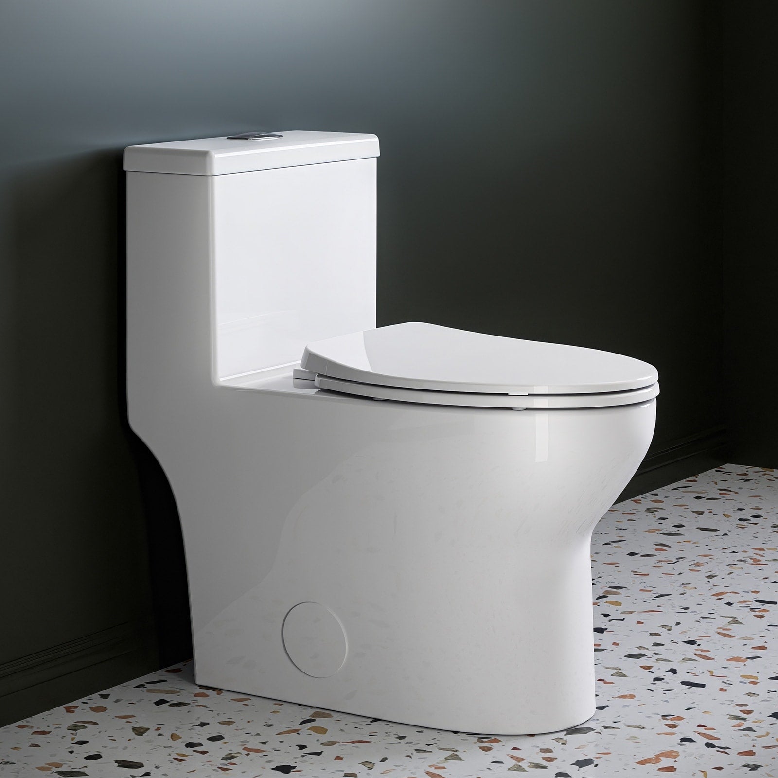 Horow White Elongated One Piece Ada Height Toilet Dual Flush 0.8 1.28 Gpf Flush With Durable Fill Valve N A