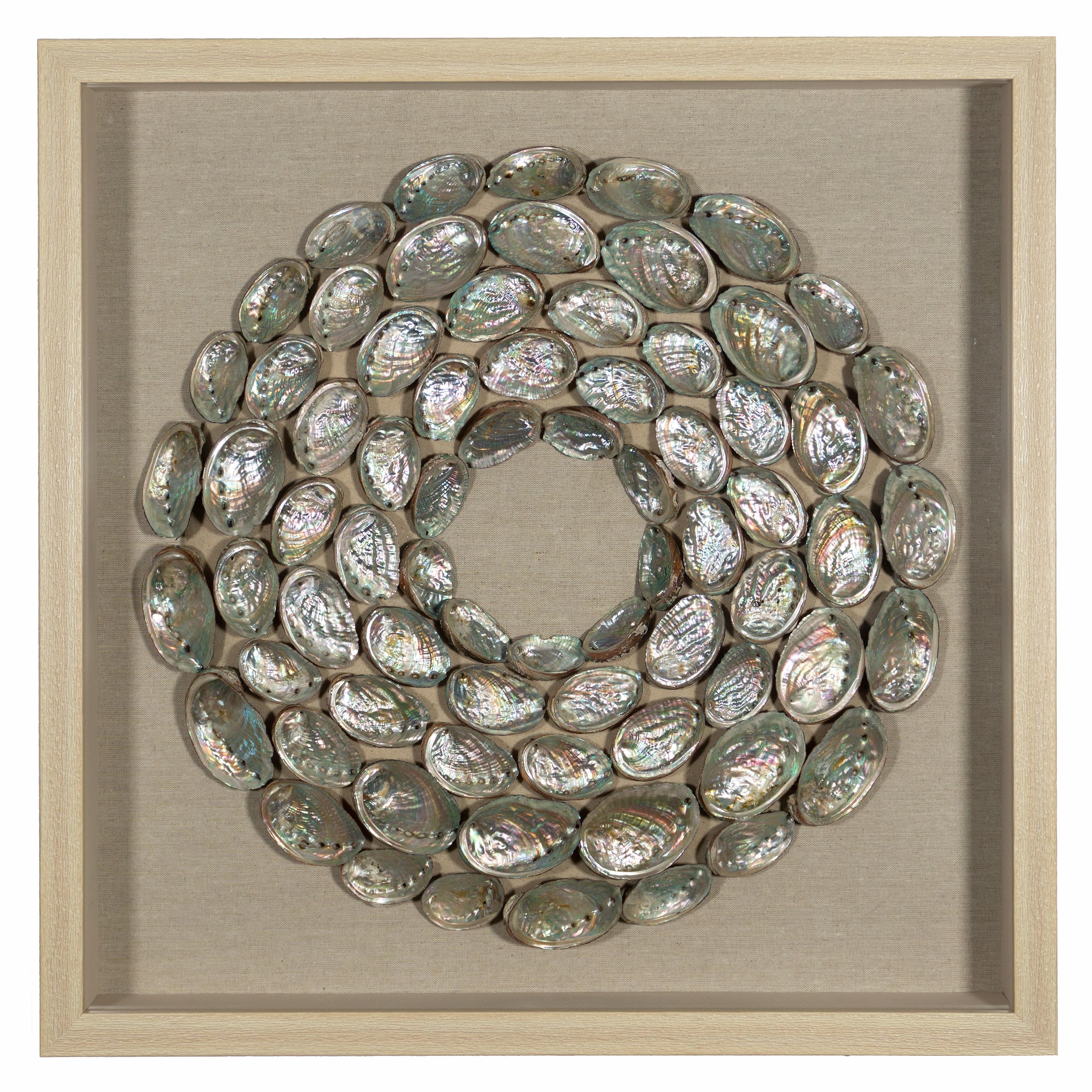 Abalone Shell Rings Shadow Box Wall D Cor