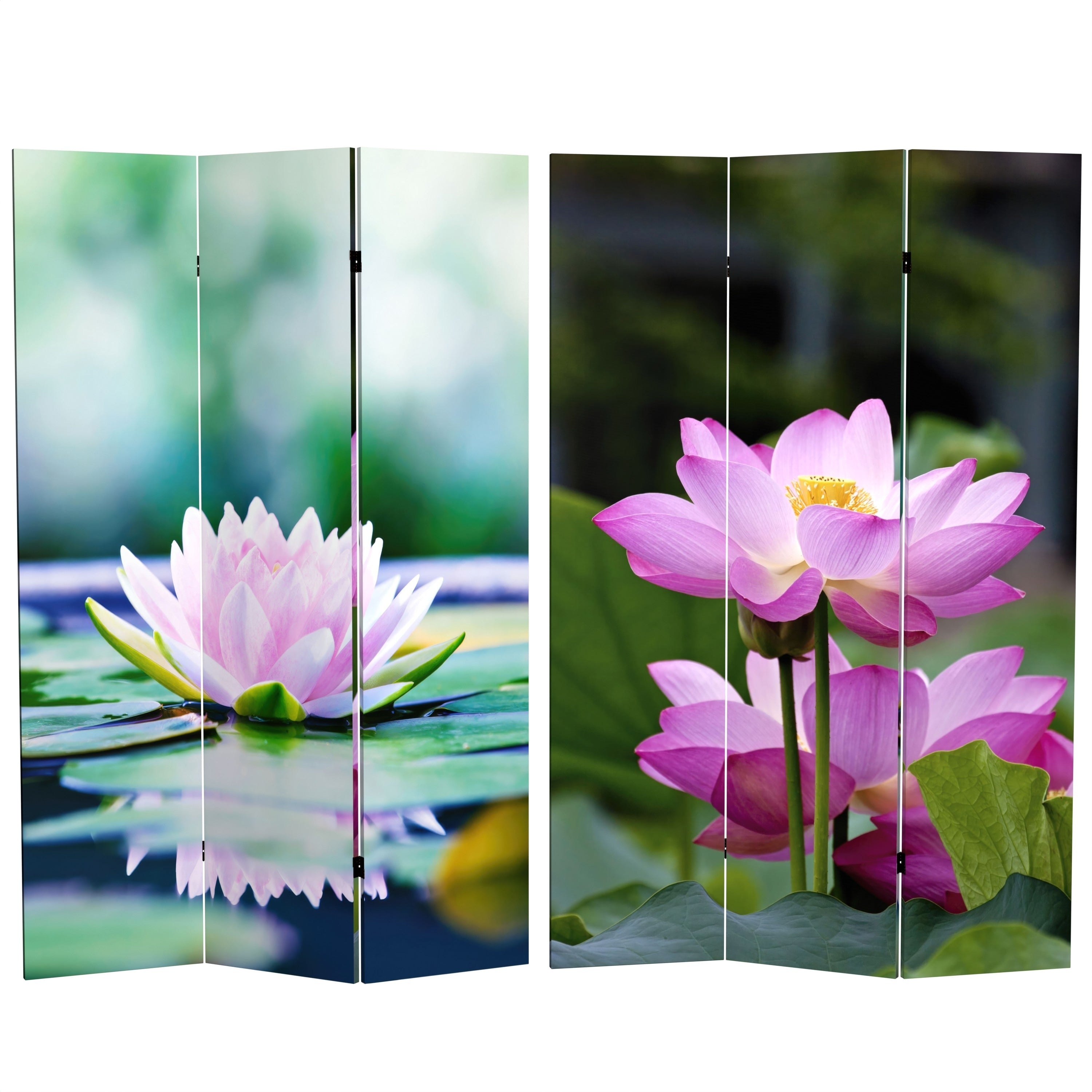 6 Ft. Tall Double Sided Lotus Blossom Canvas Room Divider