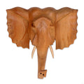 Handmade Elephant Presence Wood Mask Indonesia 32 X 28 X 14