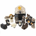 Handmade Felted Wool Christmas Nativity Set 12 Piece