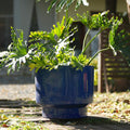 Handmade Indoor Outdoor Ceramic Planter Set With Earthy Glossy Finish