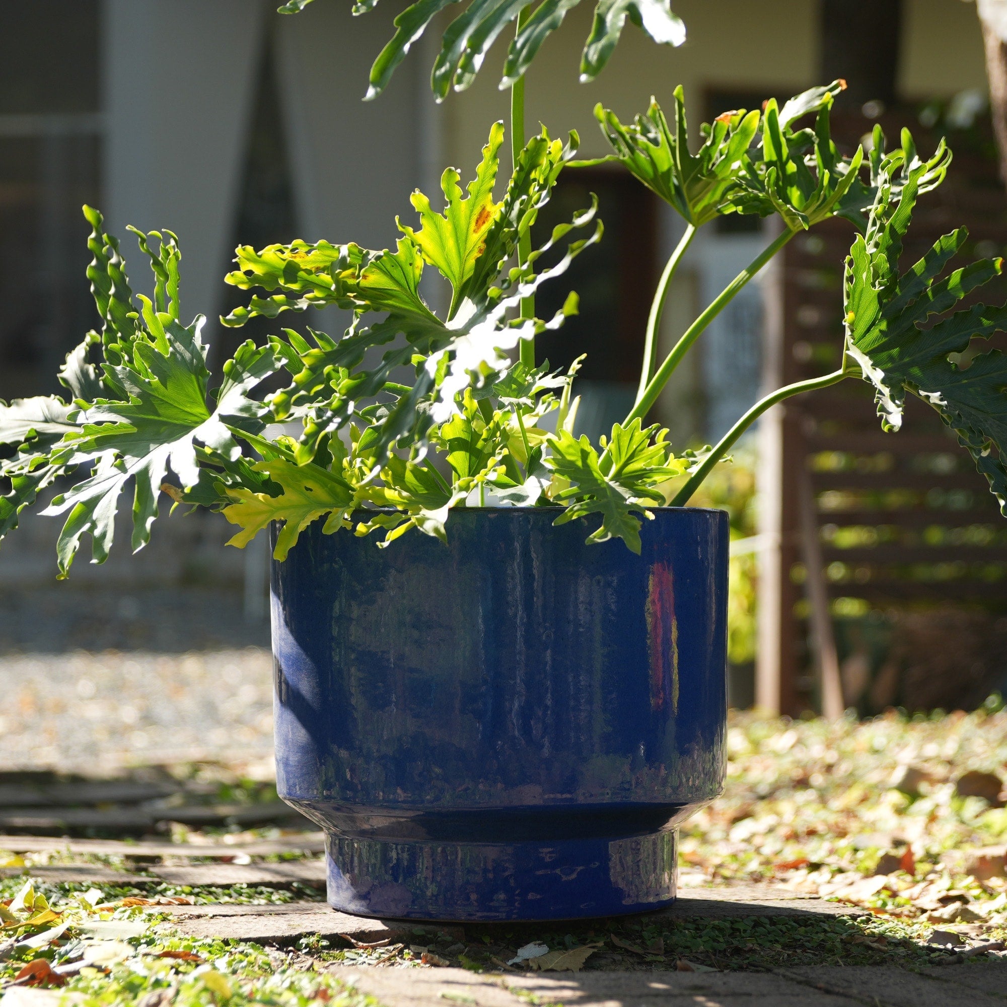 Handmade Indoor Outdoor Ceramic Planter Set With Earthy Glossy Finish