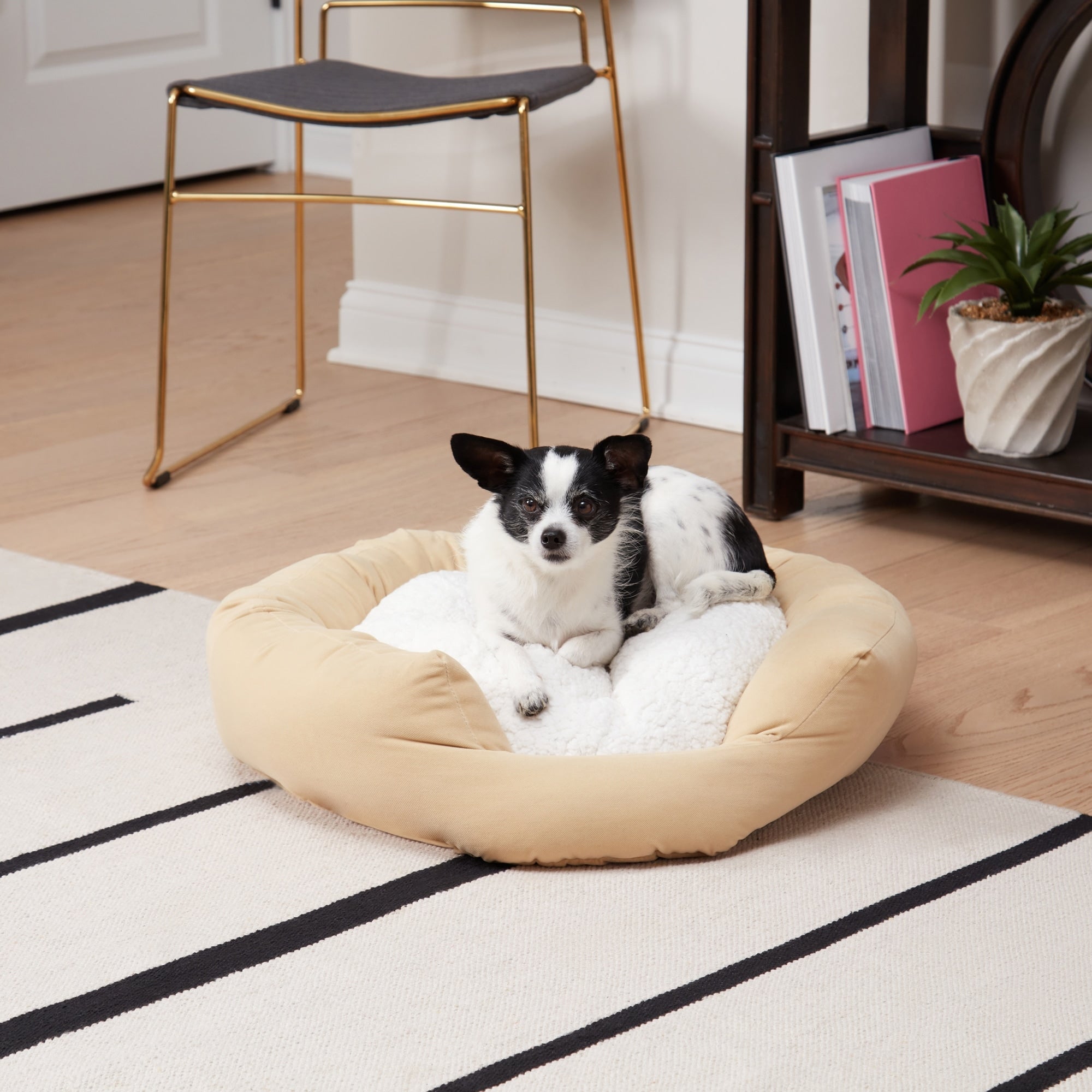 Happy Hounds Moxy Beige Donut Dog Bed