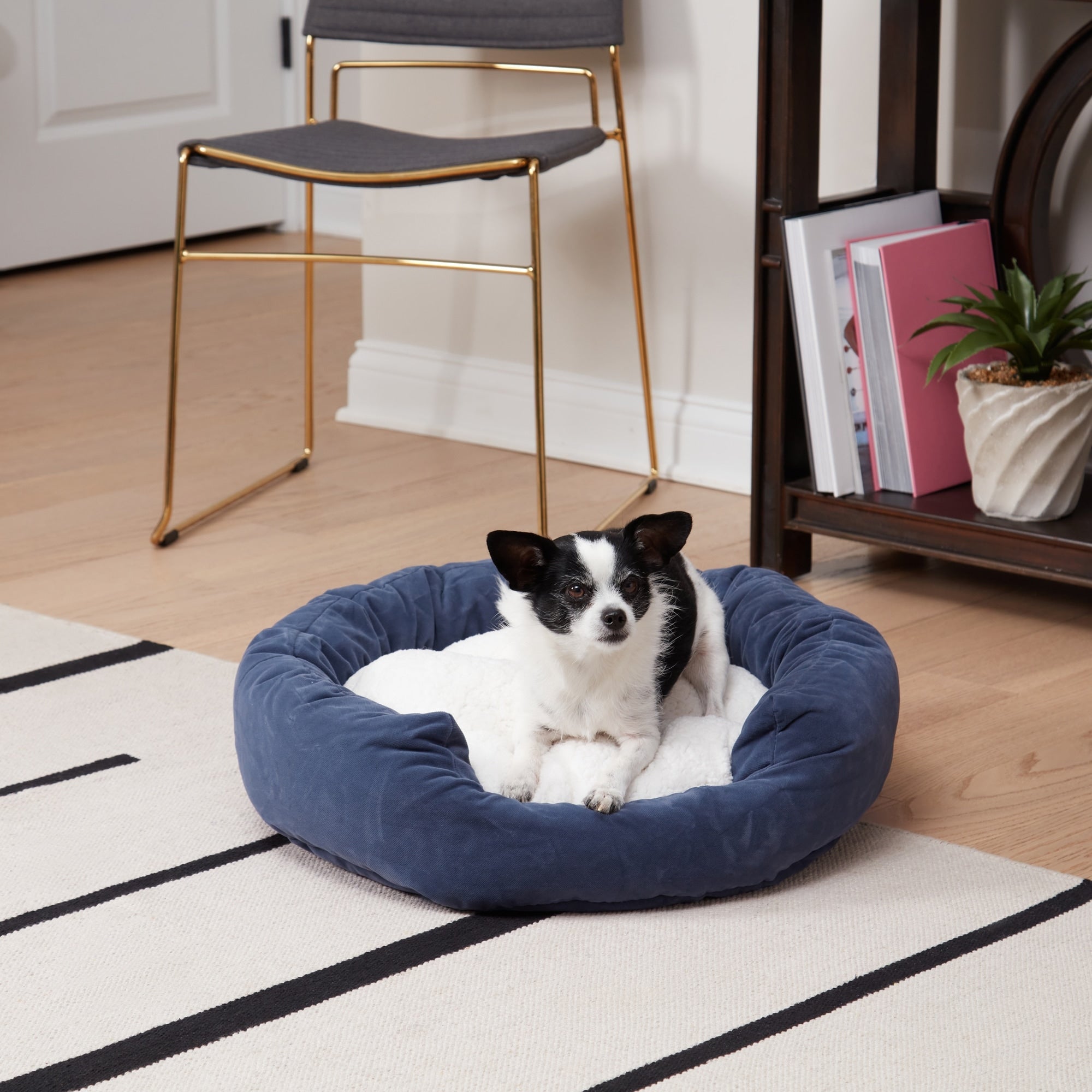 Happy Hounds Moxy Slate Donut Dog Bed