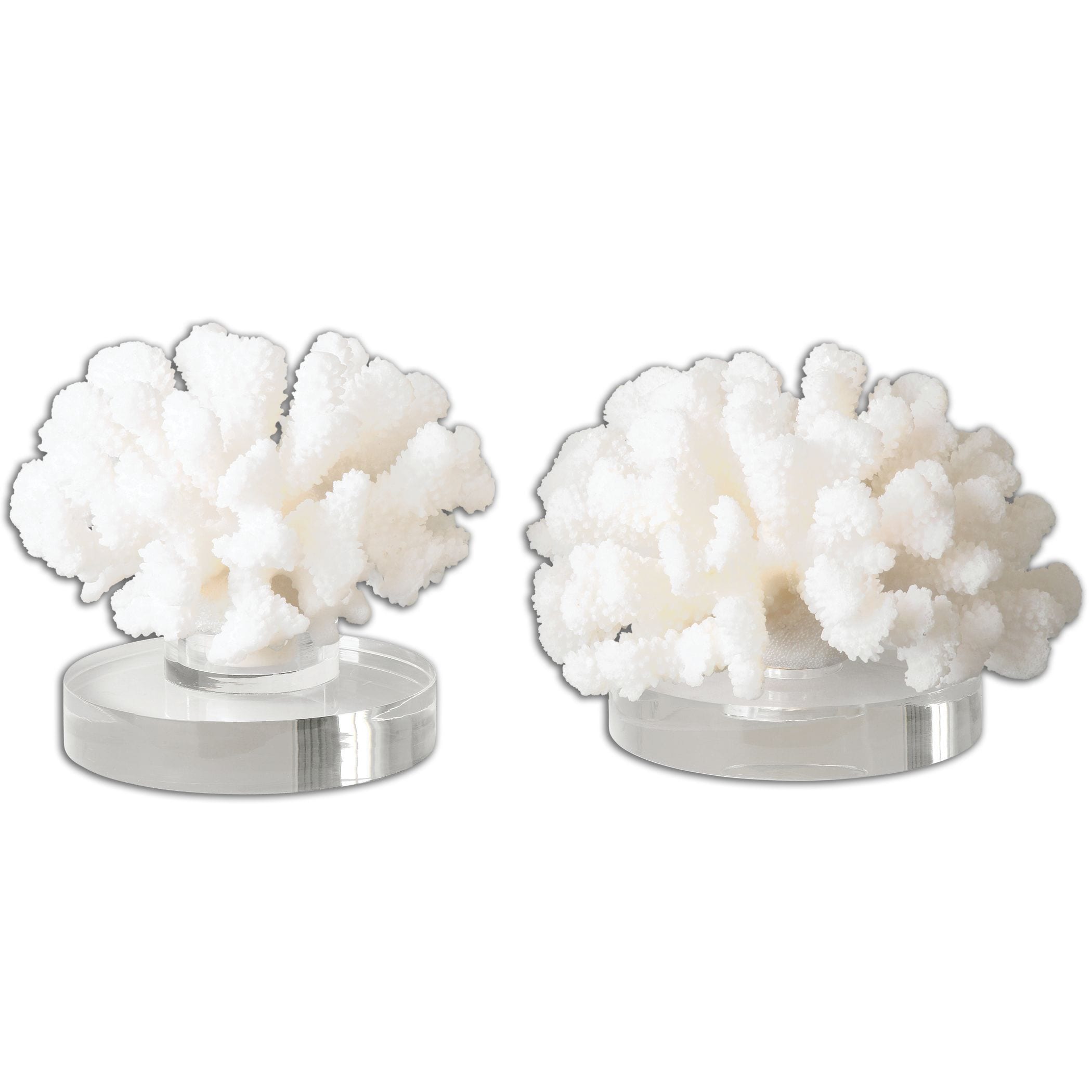 Hard Coral Sculptures Set Of 2