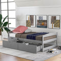 Harper Bright Designs Twin Platform Bed With Two Drawers