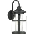 Haslett Collection One Light Large Wall Lantern