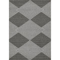 Havenside Home Rodelle Geometric Illusions Outdoor Rug