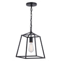 Hayes Black Farmhouse Open Cage Indoor Outdoor Pendant Lantern