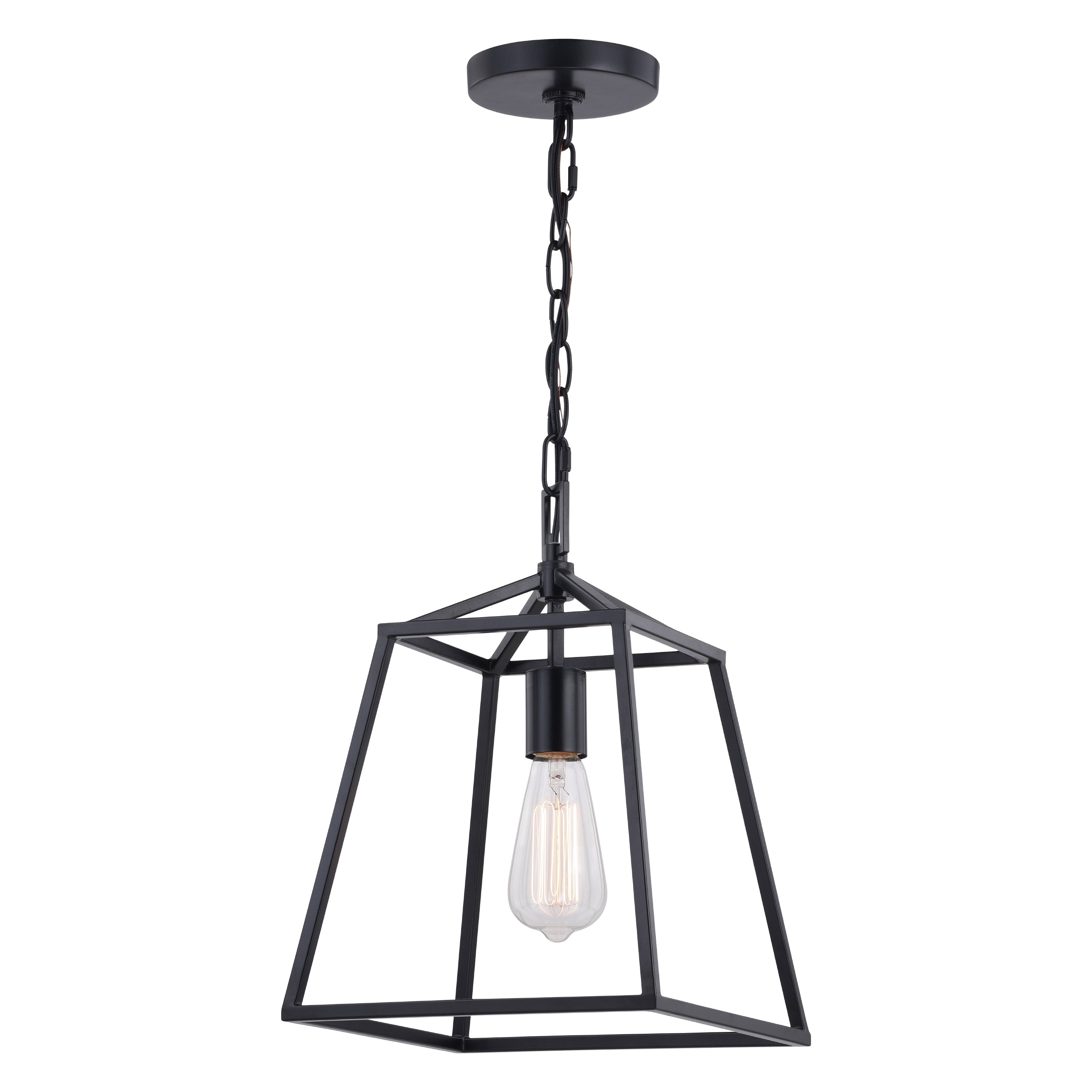 Hayes Black Farmhouse Open Cage Indoor Outdoor Pendant Lantern