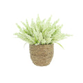 Heather In Strawgrass Pot 12