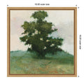 Heritage Oak I By Julia Purinton Framed Canvas Wall Art Print
